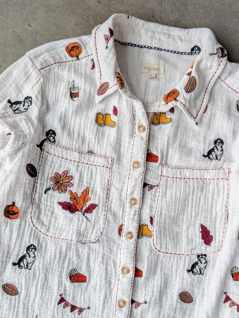 Anthropologie Pilcro Embroidered Icon Button Down Shirt Fall Football Pumpkin
